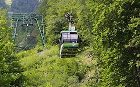 Scharfegger's Raxalpenhof - Zuhause am Land
